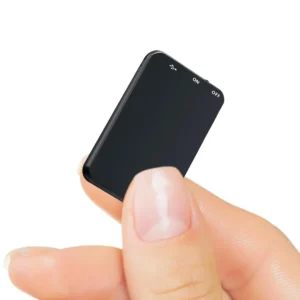 Voice recorder