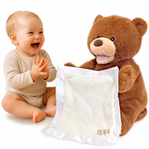 Teddy bear Peekaboo